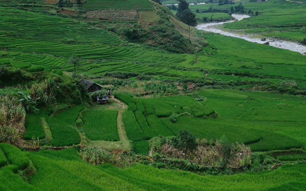 A day group tour in Sapa Vietnam
