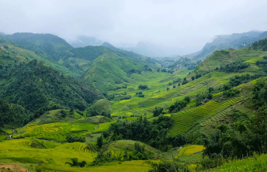Adventure Waterfalls and Rice paddy fields in Sapa